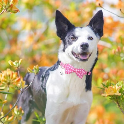 BINGPET No Pull Dog Harness Leash Collar Set, Adjustable Step-in Vest - Image 6