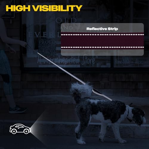 Fida 10 FT Heavy Duty Dog Leash, Dual Padded Handles - Image 5