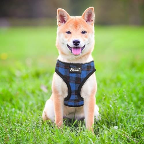 PUPTECK Small Dog Harness and Leash Set No Pull - Image 6