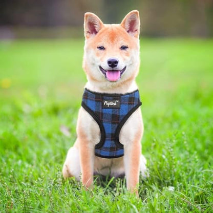 PUPTECK Small Dog Harness and Leash Set No Pull - Image 6