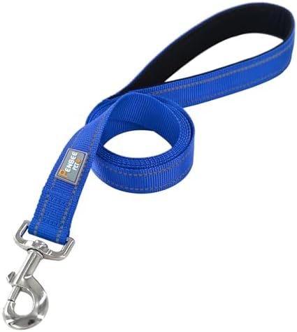 6 FT Basic Dog Leash for Small Dogs, Padded Handle - Image 2