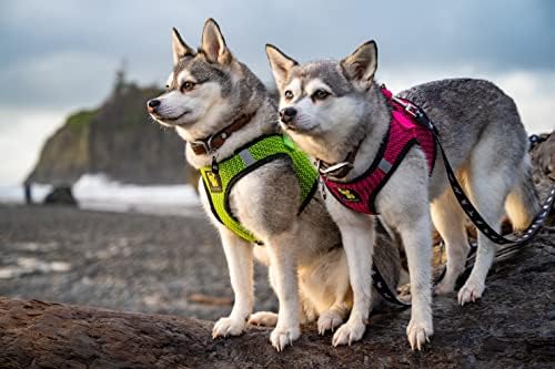 EcoBark Small Dog Harness, No Pull Soft Mesh Step in Vest, Fuchsia Sport - Image 5