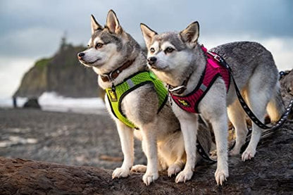 EcoBark Step in Dog Harness, Reflective Soft Mesh No Pull Pet Vest - Image 5