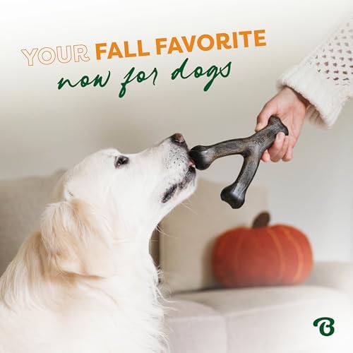 Benebone Wishbone Chew Toy for Aggressive Chewers, Pumpkin Spice - Image 4
