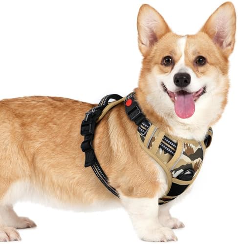 rabbitgoo Dog Harness Small Sized, Updated Easy On & Off by rabbitgoo