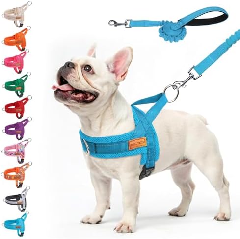 BEAUTYZOO Dog Harness Medium Sized and Leash Set, No Pull Step in Pet Vest by BEAUTYZOO