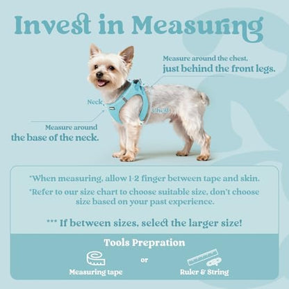 rabbitgoo Step-in Small Dog Harness, Puppy Vest - Image 2