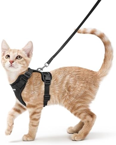 rabbitgoo Cat Harness and Leash Set, Escape Proof Vest by rabbitgoo