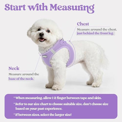 rabbitgoo Dog Harness Medium Sized and Leash Set, Step-in Puppy Pet Vest - Image 2