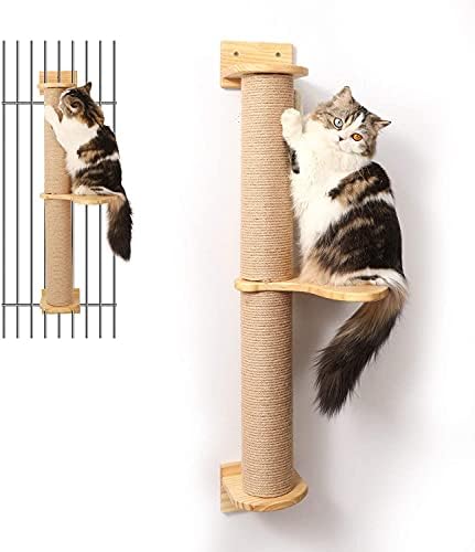 FUKUMARU Cat Activity Tree by FUKUMARU