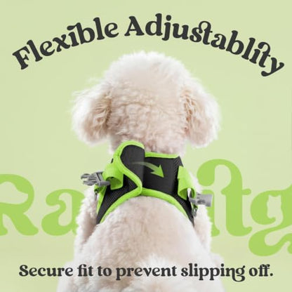 rabbitgoo Dog Harness Small Sized and Leash Set, Step in Soft Vest - Image 6