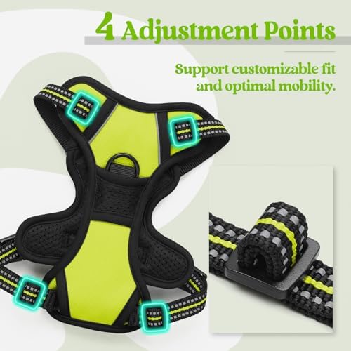 rabbitgoo Dog Harness No Pull - Image 4