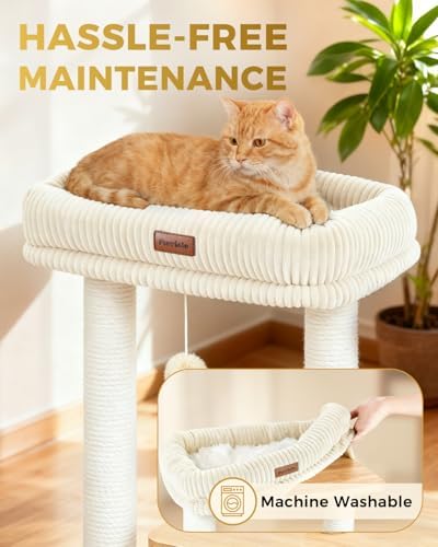 Small Cat Tree for Indoor Kittens - Image 5