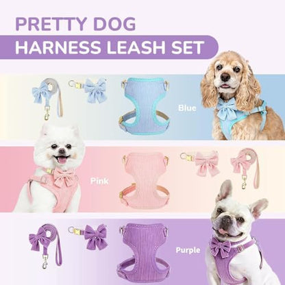 Small Dog Collar Harness and Leash Set - Image 7