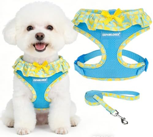 EXPAWLORER Step-in Dog Harness Small Sized and Leash Set by EXPAWLORER
