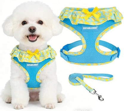 EXPAWLORER Step-in Dog Harness Small Sized and Leash Set by EXPAWLORER