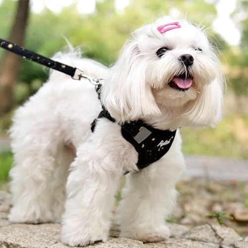 PUPTECK Dog Harness and Leash Set Small Sized, Step in No Pull Adjustable Puppy - Image 5