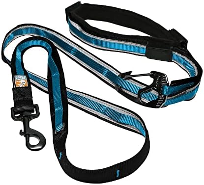 Kurgo Quantum 6-in-1 Dog Leash, Adjustable, Hands-Free Option, Coastal Blue by Kurgo