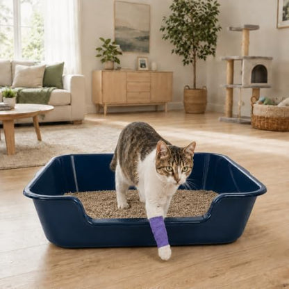 Extra Large Low Entry ABS Cat Litter Box, 1 Pack - Image 3