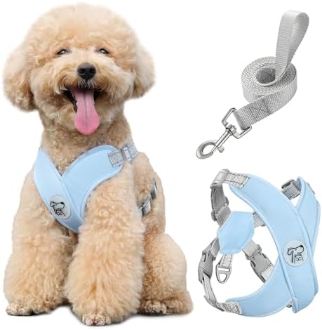 Pawaboo Small Dog Harness and Leash Set, Puppy Harness X-Frame Adjustable by Pawaboo