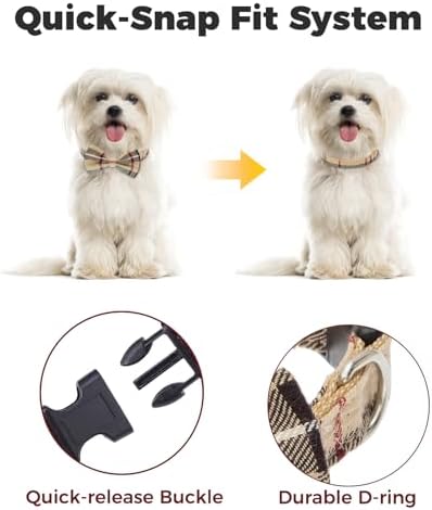BINGPET No Pull Dog Harness Leash Collar Set, Adjustable Step-in Vest - Image 5