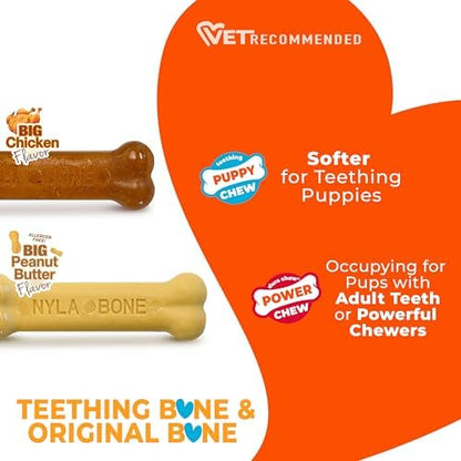 Nylabone Puppy Chew Teething Bone & Original Bone Dog Chew Toys - Image 5