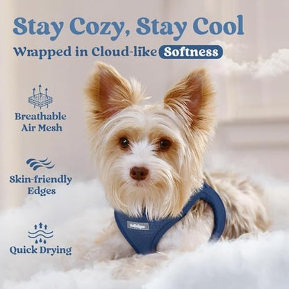 rabbitgoo Step-in Small Dog Harness, Puppy Vest - Image 3