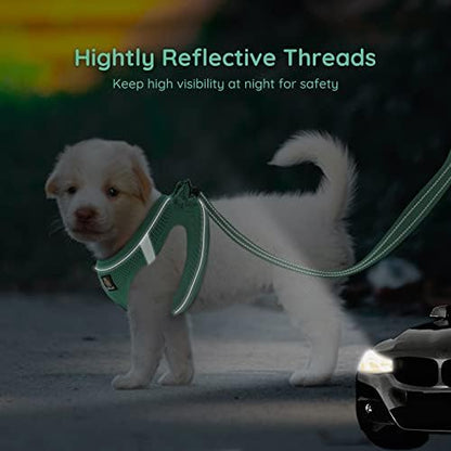BELLA & PAL Step in Puppy Harness and Leash Set - Image 4