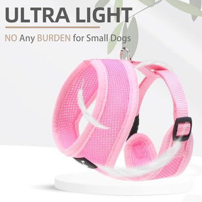 PUPTECK Small Dog Harness and Leash Set No Pull - Image 5