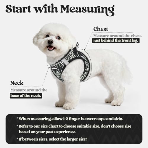 rabbitgoo Dog Harness Medium Sized and Leash Set, Step-in Puppy Pet Vest - Image 2