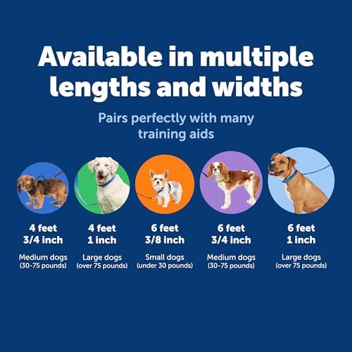 PetSafe Nylon Dog Leash - Image 5