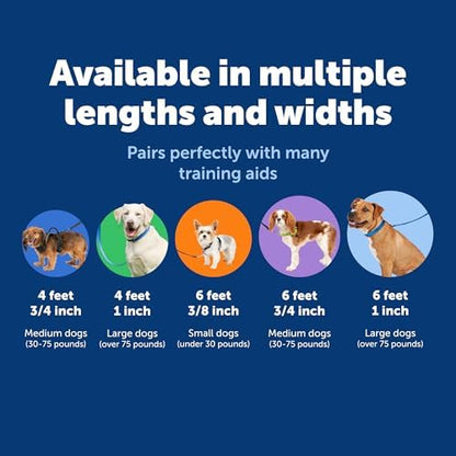 PetSafe Nylon Dog Leash - Image 5