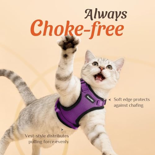 Dooradar Cat Harness and Leash Set, Adjustable and Escape Proof - Image 2