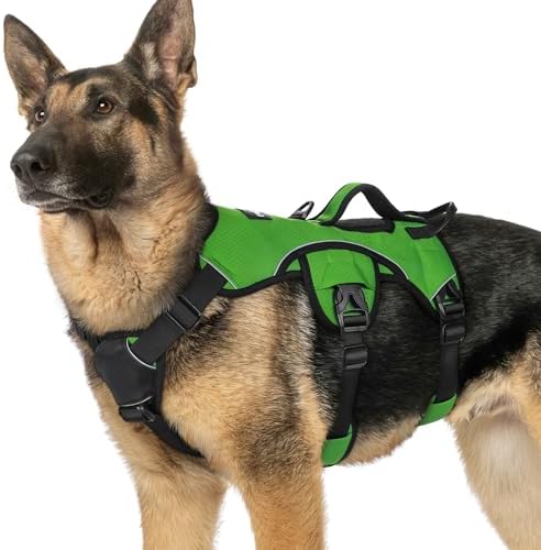 rabbitgoo Escape Proof Dog Harness by rabbitgoo