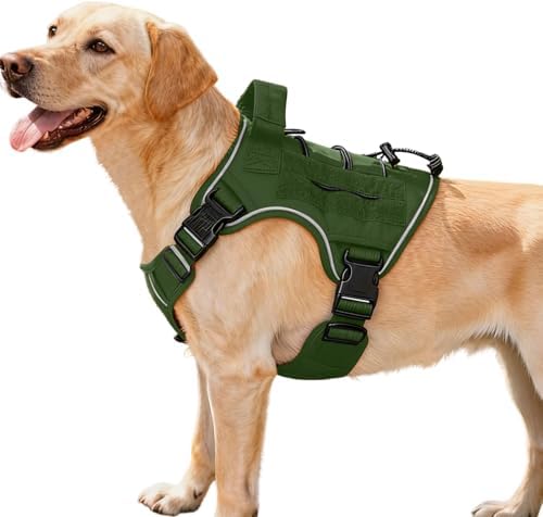 Heavy-Duty Tactical Dog Harness by Bruvoalon