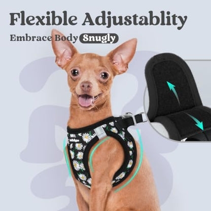 rabbitgoo Step-in Small Dog Harness, Puppy Vest - Image 6