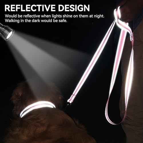 Joytale Reflective Dog Leash for Medium & Large Dogs, 4 FT x 1" - Image 4