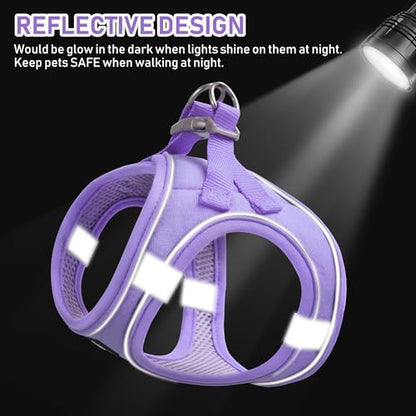 GAMUDA Small Pet Harness Collar and Leash Set, Step in No Chock No Pull Linen - Image 4