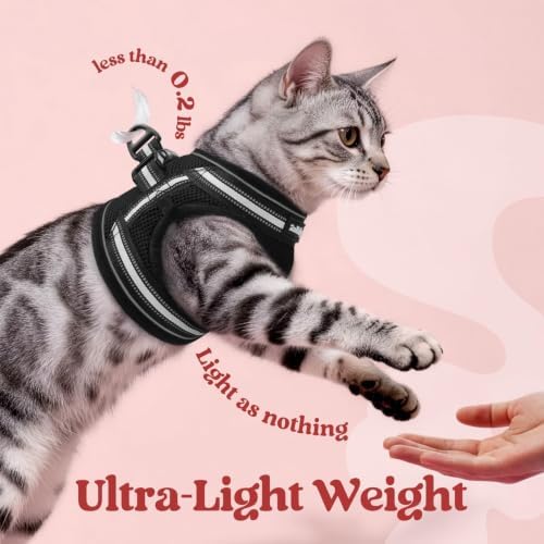 rabbitgoo Cat Harness and Leash Set, Step-in Soft Vest - Image 6
