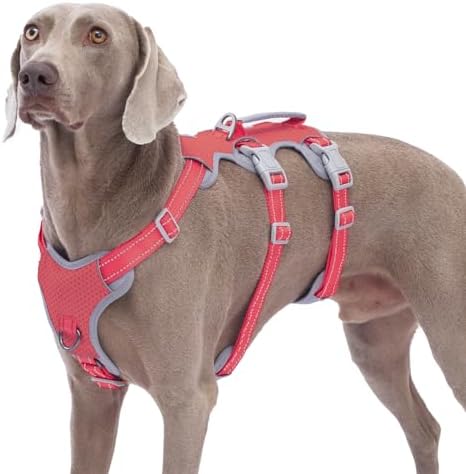 Huntboo Escape Proof Dog Harness, No Pull Reflective Harness by Huntboo