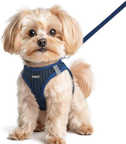 Eagloo Small Dog Harness and Leash Set, Step in Small Sized Puppy Pet Vest by GoExplorewithEagloo