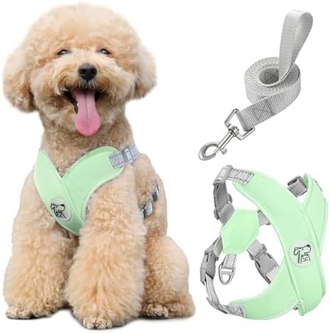 Pawaboo Small Dog Harness and Leash Set, Puppy Harness X-Frame Adjustable by Pawaboo