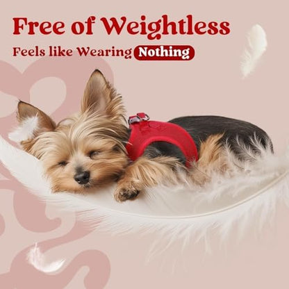 rabbitgoo Step-in Small Dog Harness, Puppy Vest - Image 4