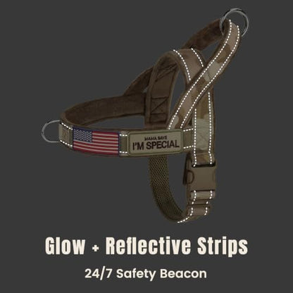 Forestpaw No Pull Dog Harness - Image 6