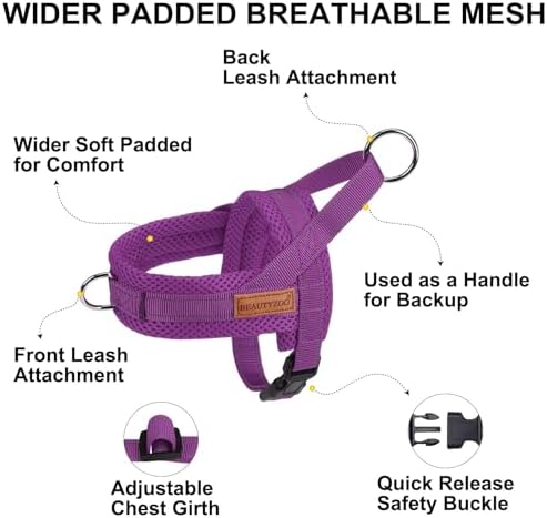 BEAUTYZOO Small Dog Harness and Leash Set, No Pull Step in Puppy Vest - Image 2