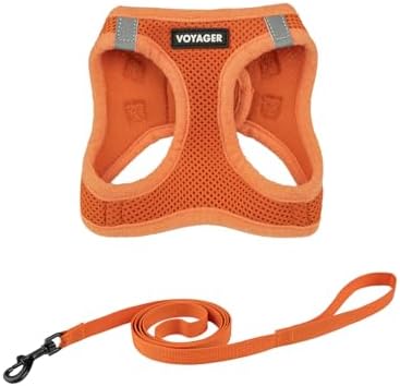 Voyager Step-in Air Cat Harness & Leash Set by BestPetSuppliesLLC