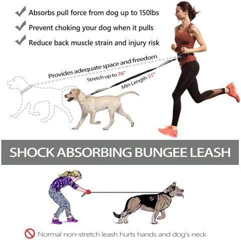 LANNEY Hands Free Dog Leash, Waist Running Leash - Image 3