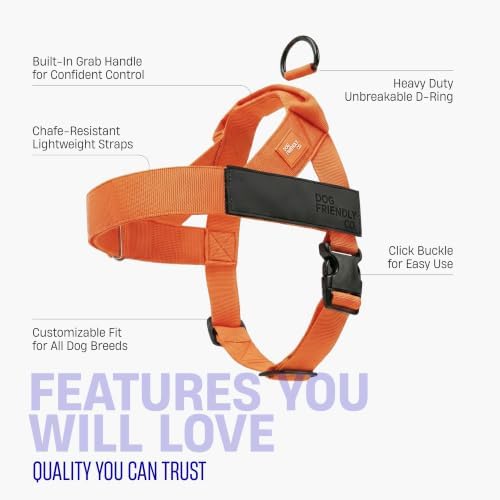 Dog Friendly Co. Dog Harness for Large Dogs - Image 5