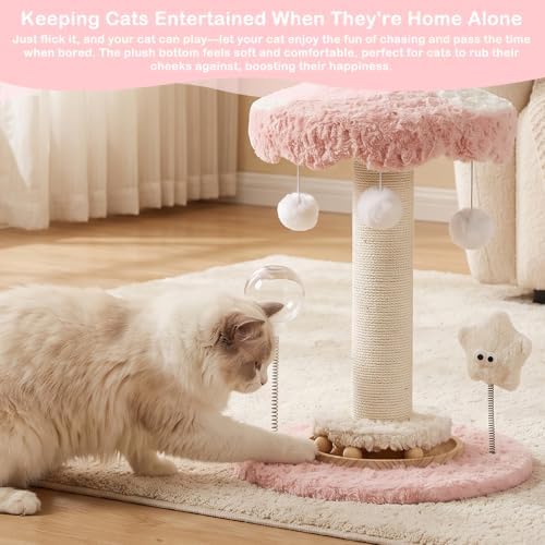 Kitten Carousel Cat Scratching Post - Image 5