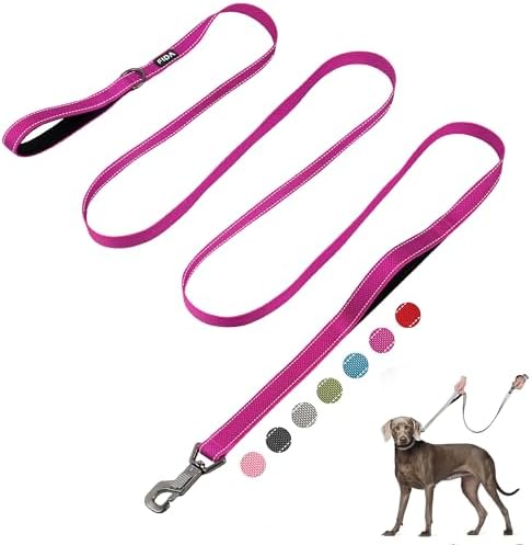 Fida 10 FT Heavy Duty Dog Leash, Dual Padded Handles by Fida